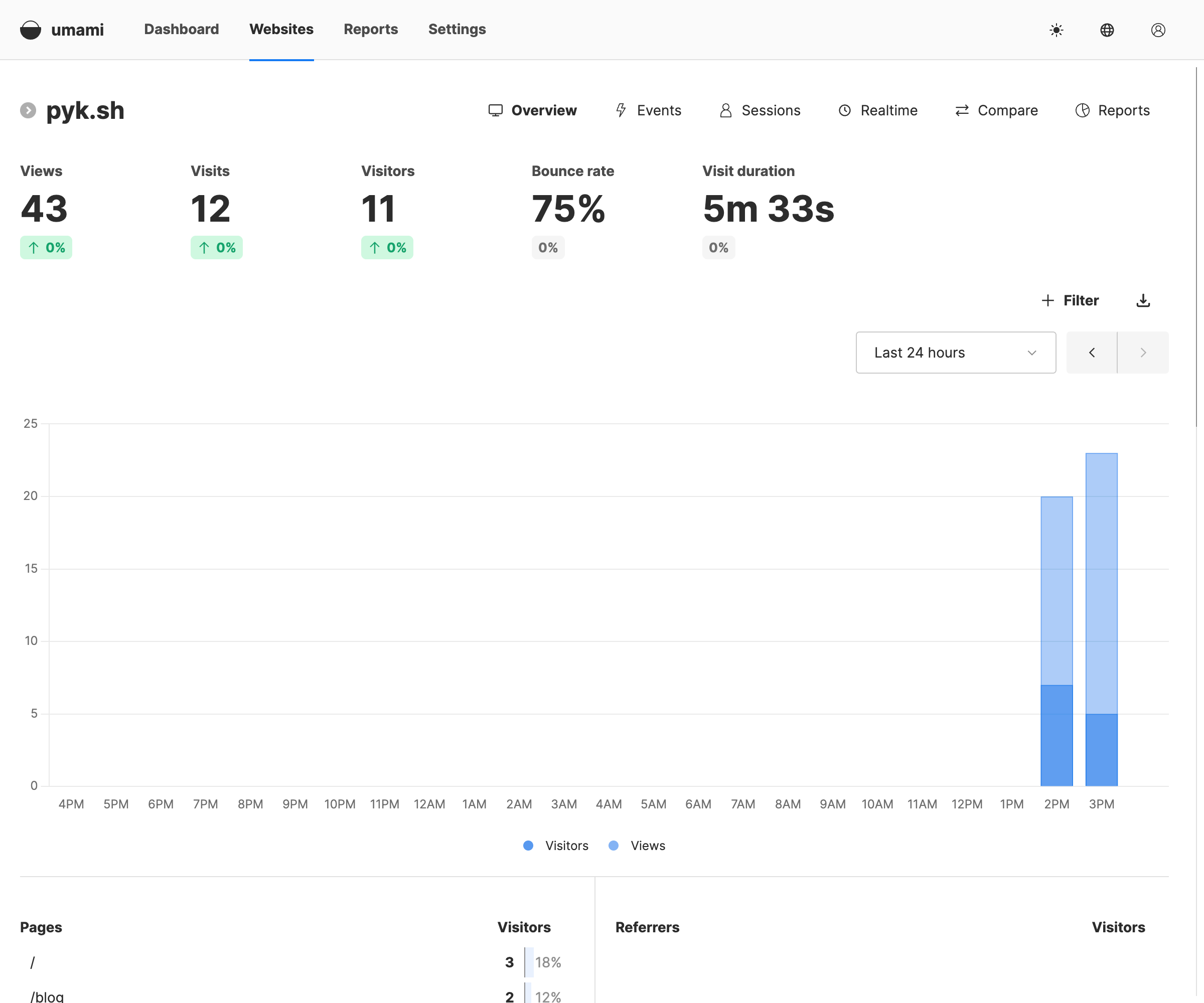 My Umami Dashboard