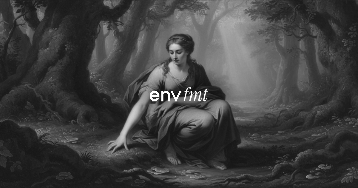 envfmt: Overview